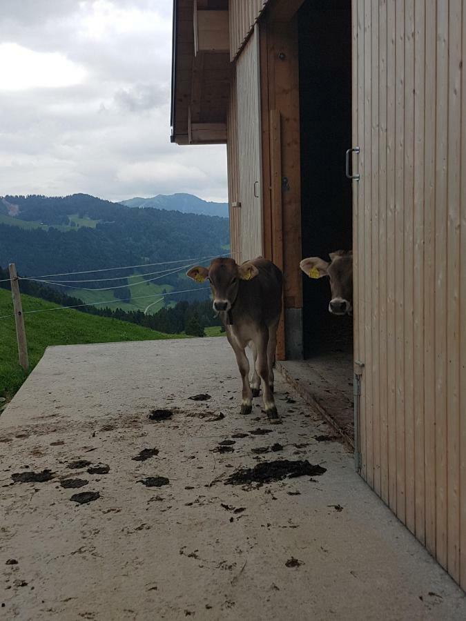 Ferien Im Gugger Apartamento Nesslau Exterior foto